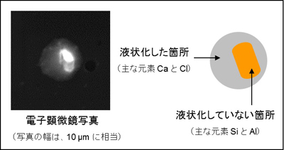 図　石川県金沢市内で採取された液滴状の黄砂粒子