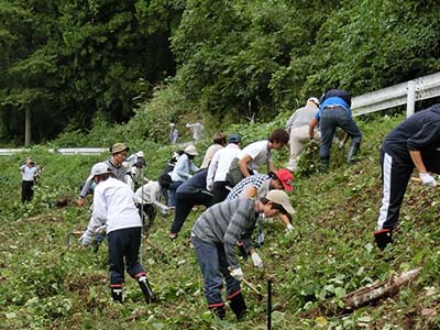 春蘭の里での下草刈り